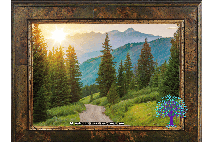 Pine trees with road and sunset mountains in background